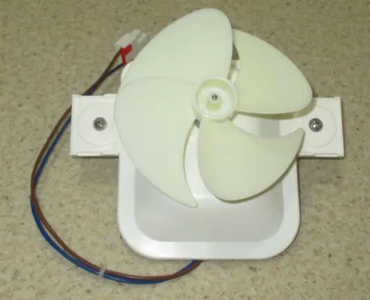 FAN ASS. (B-763)